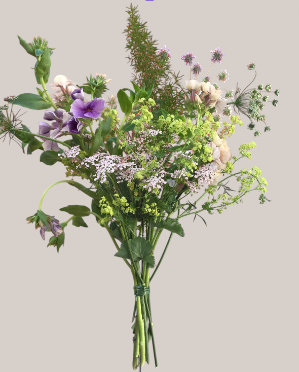 Sommervind - Billede 2