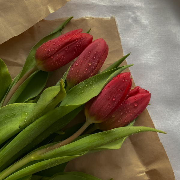 Tulipan buket - Image 2