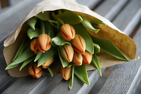Tulipan buket